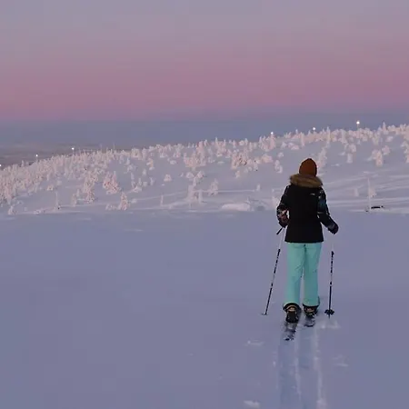 Arctic Star Levi- Katkan Kutsu A